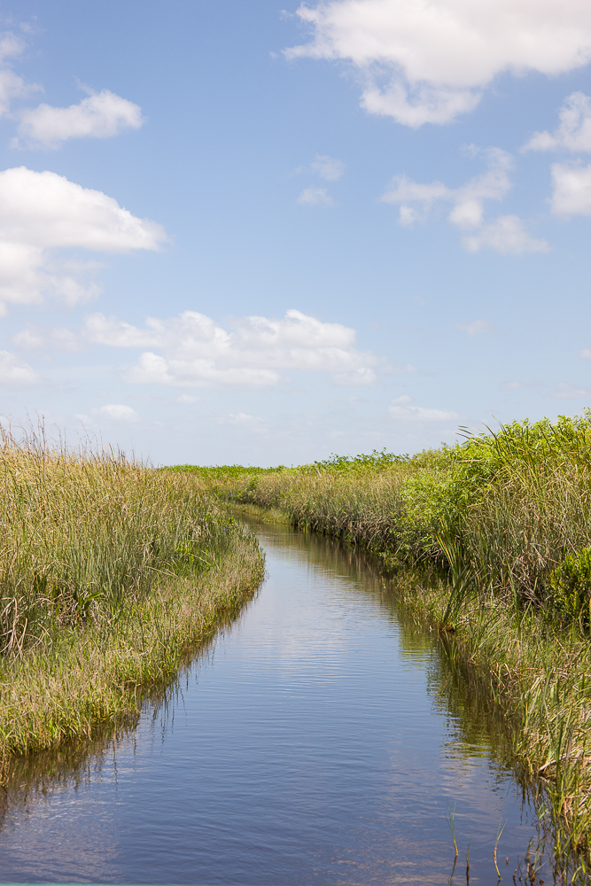 florida